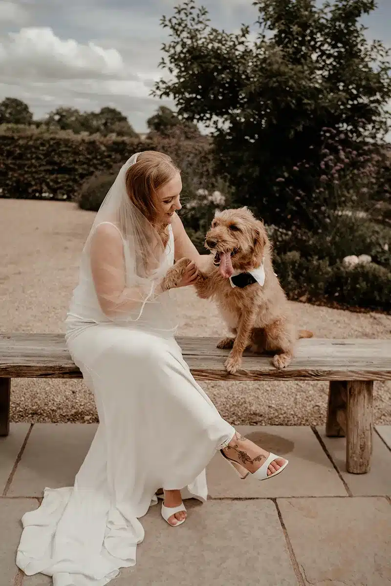Devon Elopement Wedding Bride With Dog